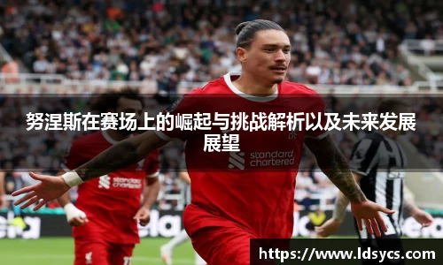 努涅斯在赛场上的崛起与挑战解析以及未来发展展望